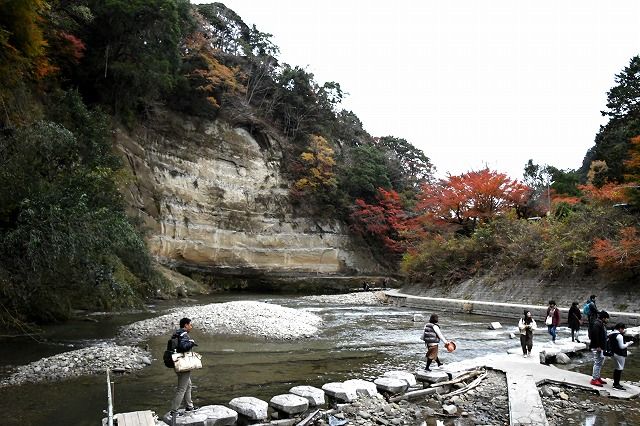 房総 養老渓谷 中瀬遊歩道へ Himekyonの部屋 楽天ブログ