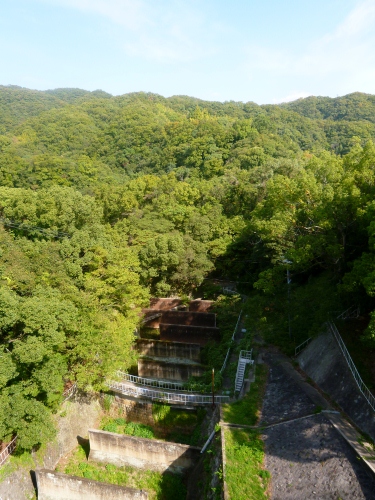 018 (375x500).jpg