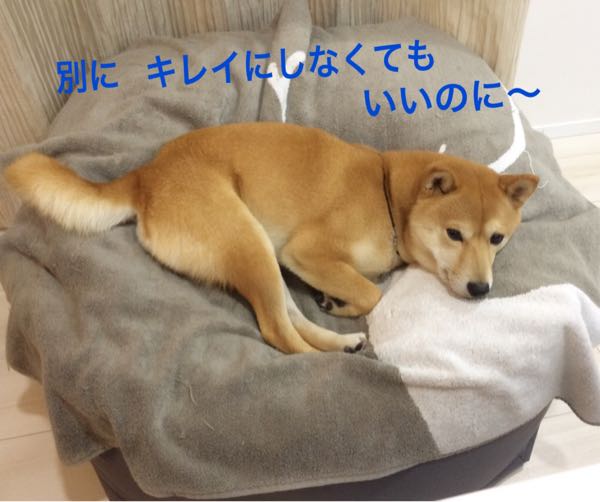 rblog-20161116124314-07.jpg