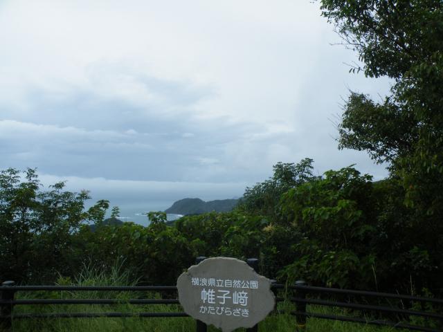四国遍4-07a2.JPG