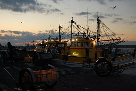 s-DSC_0207.jpg