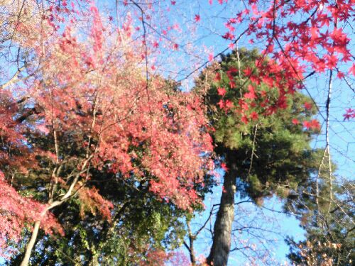 rblog-20151210212811-03.jpg