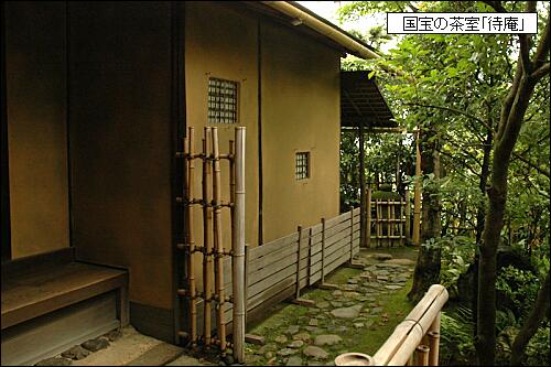 千利休と出船の形 耳 ミミ とチャッピの布団 楽天ブログ