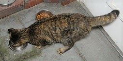 5DA_6595-13.JPG