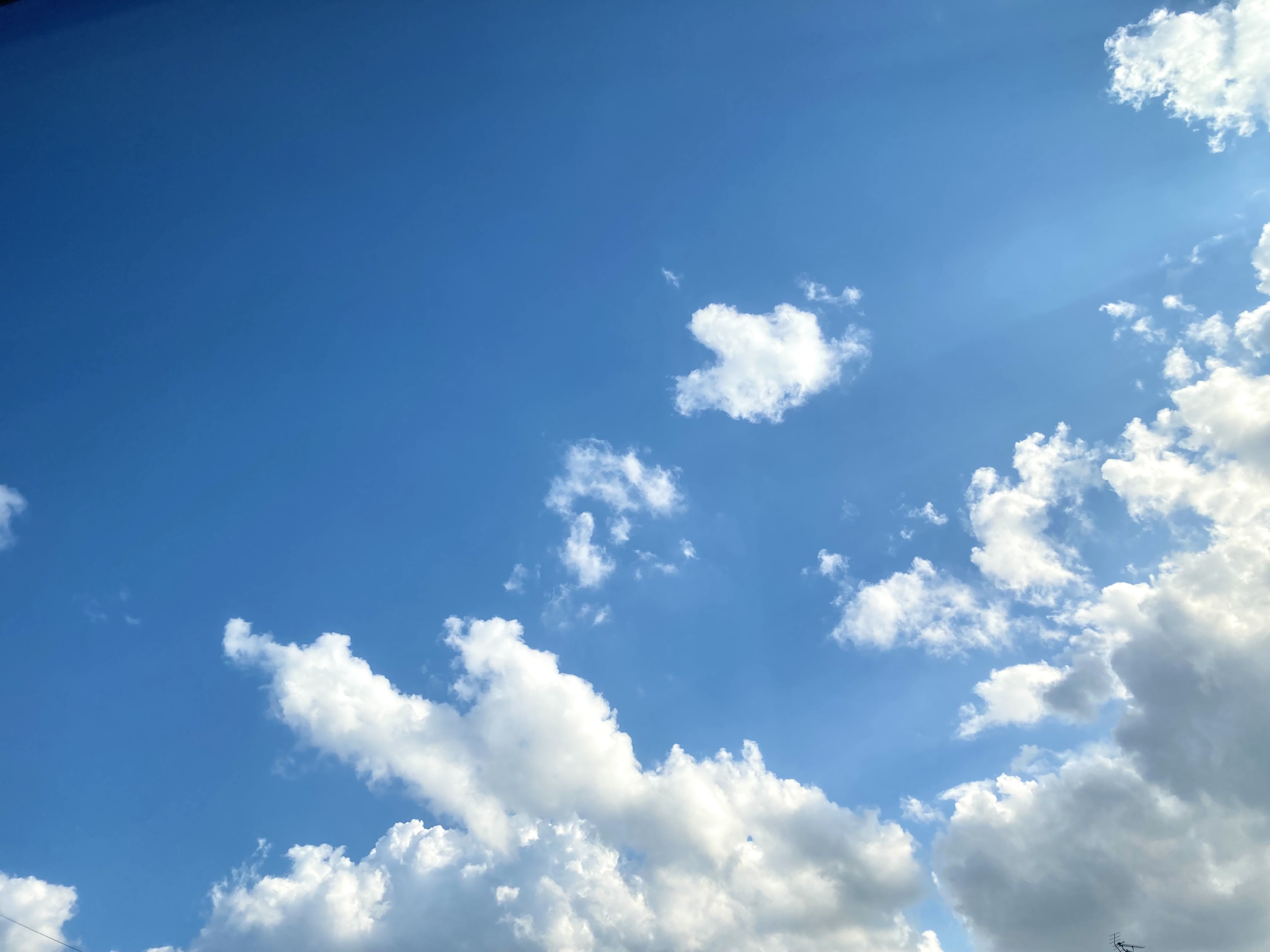 アラサー主婦のショッピング記録