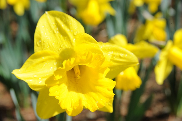 2013.3.22 002.JPG