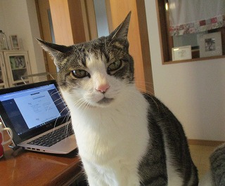 IMG_6698ss.jpg