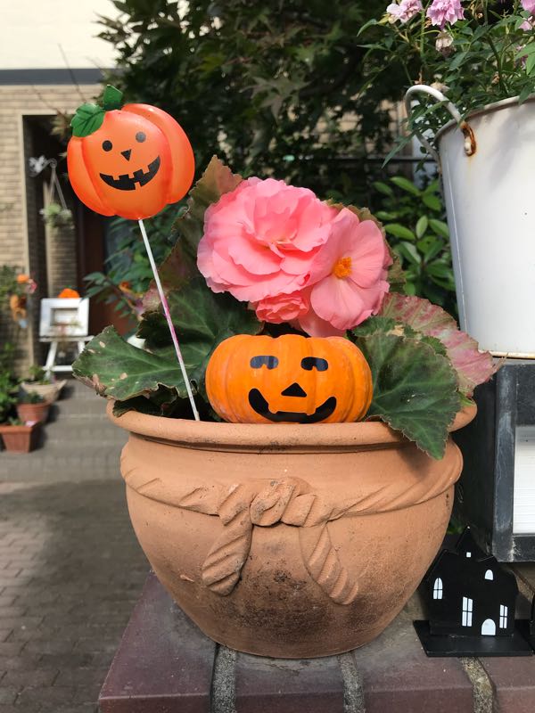 rblog-20181103151508-07.jpg