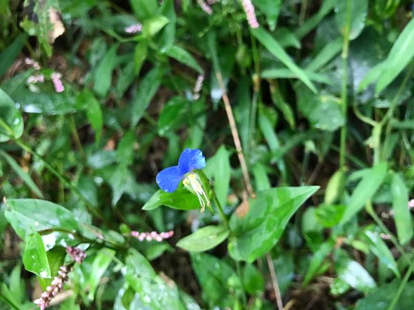rblog-20170929122818-01.jpg