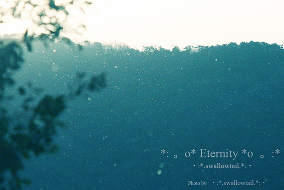Photo by swallowtail　b.jpg