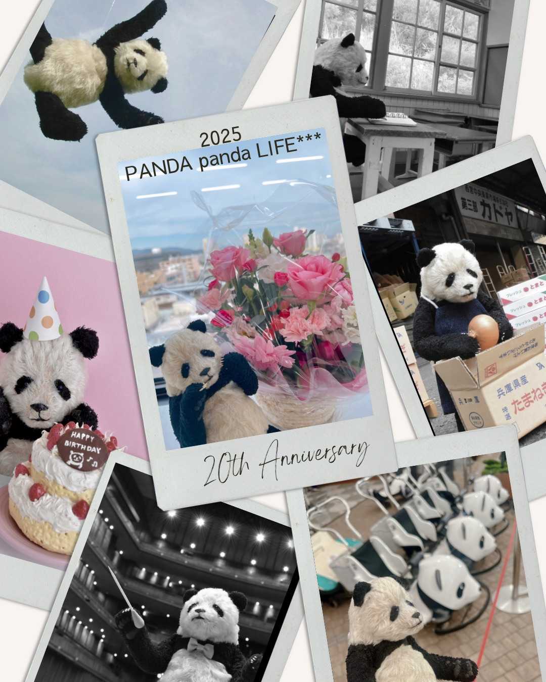 2025/07/23注文分(*」´□`)」f.pandaさんの専用だよー！ 2025 Fiat Panda 1.2 HYBRID 110CV LA PRIMA For Sale. Price 22 900