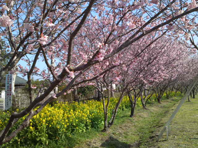 2012-03-30 23:23:07