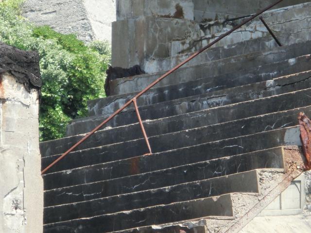 CIMG3726.jpg