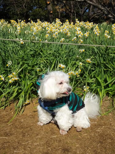 葛西臨海公園にて