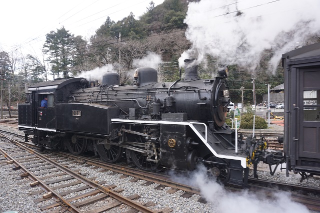 大井川鐵道 元 南海電車 丸普 & C10 8トラ塗り6
