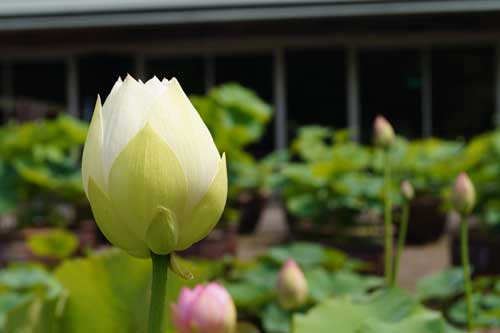 20140614_21.jpg