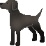 image1995.gif
