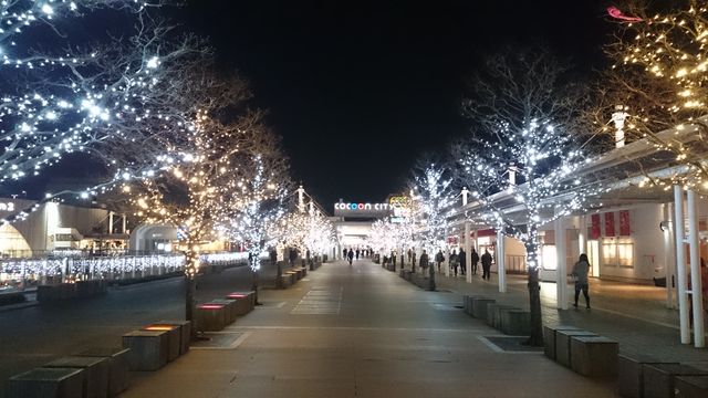 2016-01-15 17.51.25.jpg