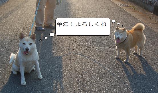 DSC_0208.JPG