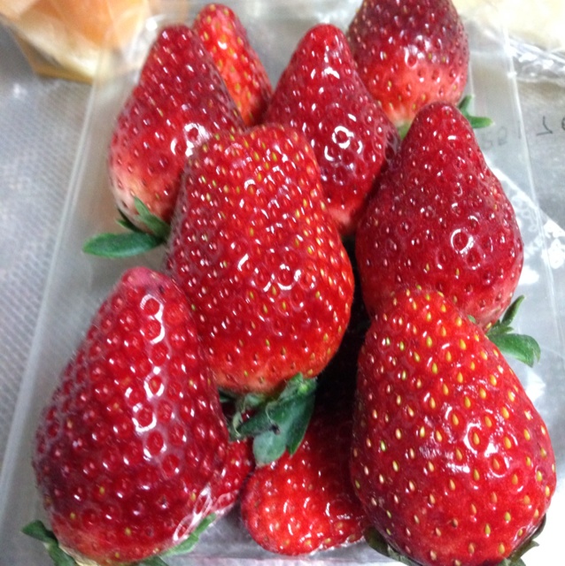 rblog-20130130183501-01.jpg