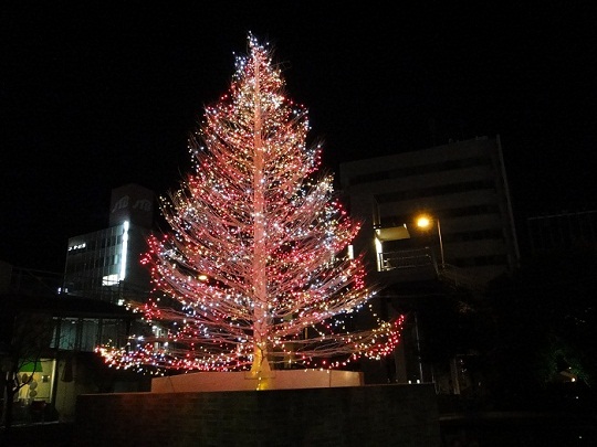 2012_1209_203715-DSC02498 - blog.JPG