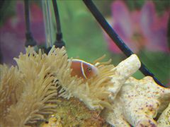 マリンワールド海ノ中道