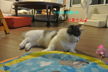 mumu22.jpg