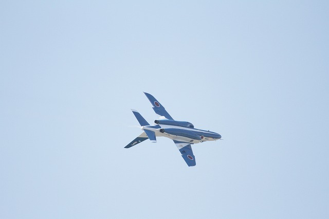 IMG_6978.jpg