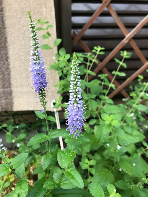 rblog-20180628172308-00.jpg