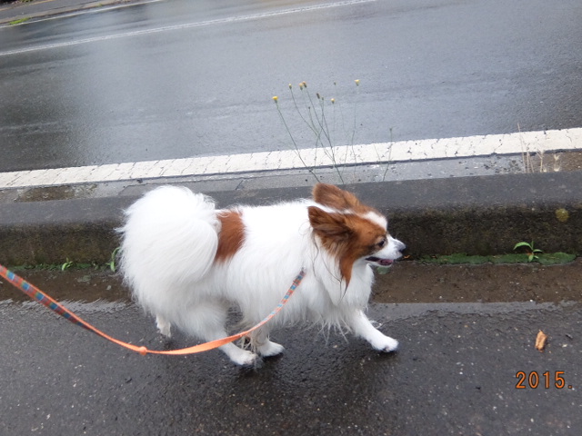 DSCF6820.JPG