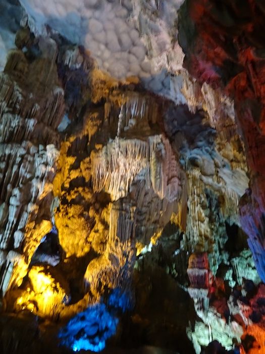 DSC09599_R.JPG