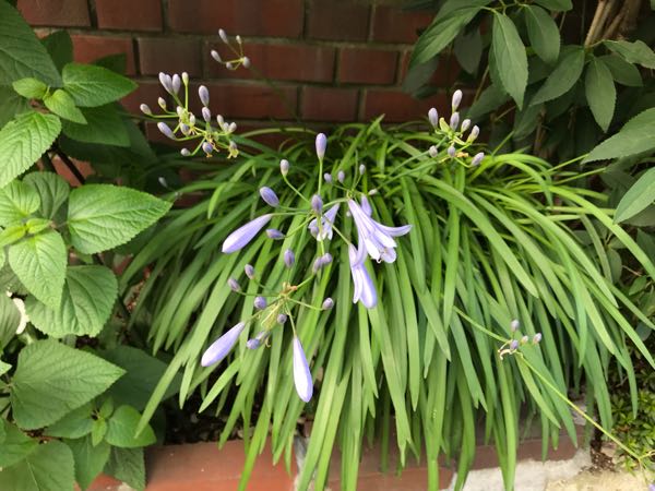 rblog-20180624181630-06.jpg