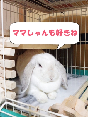 好きね.jpg