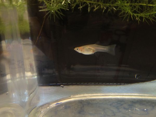 rblog-20141125154201-02.jpg