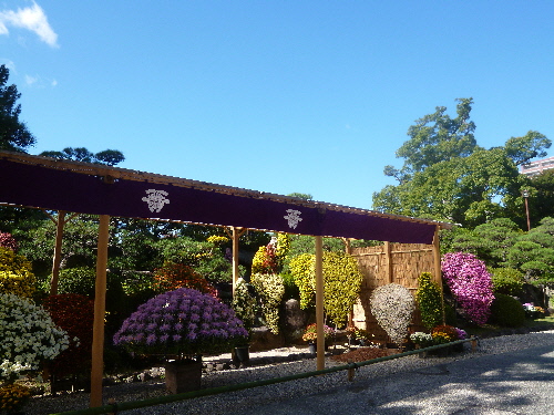 P1130808(1).JPG