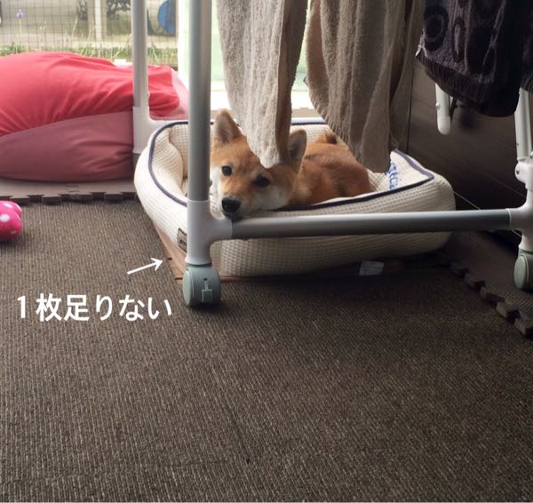 rblog-20161018232132-02.jpg