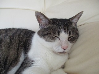 IMG_4964ss.jpg
