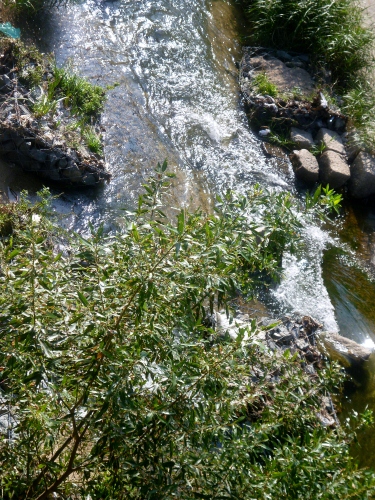 075 (375x500).jpg