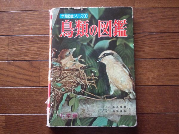 鳥類図鑑.jpg