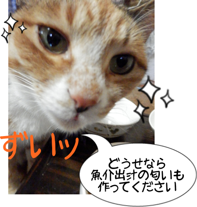 P5250037.png