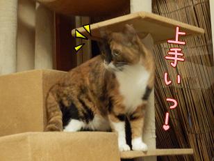 たぁ子うまい.JPG