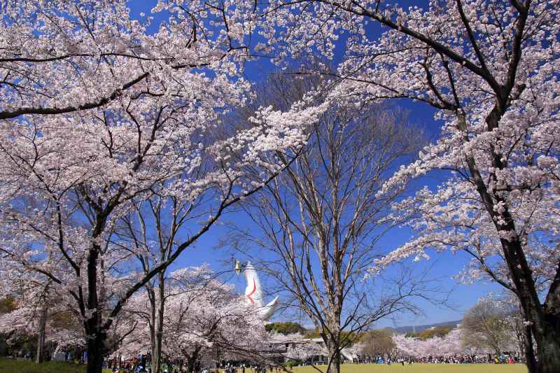 万博記念公園_003.jpg