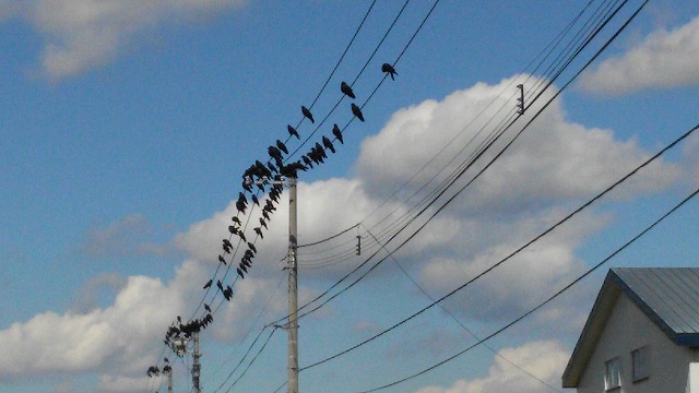 20150916_123116.jpg