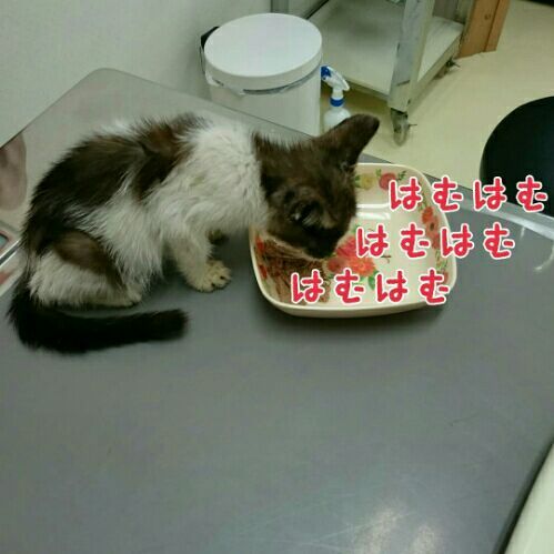 rblog-20180824072651-02.jpg