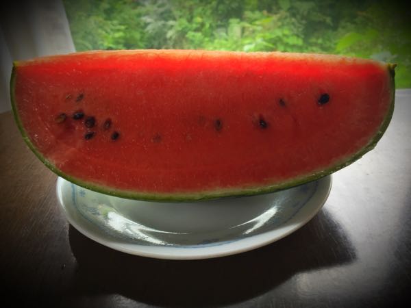 rblog-20160727122044-00.jpg
