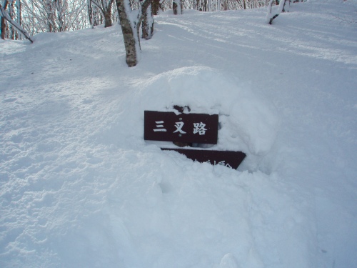 s-20140201泉ヶ岳山叉路.jpg