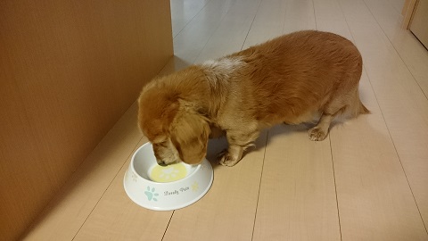しゅうごはん３.JPG