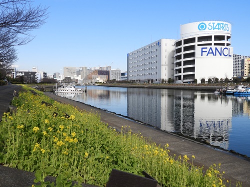 しながわ花海道にて