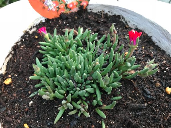 rblog-20180328191025-01.jpg