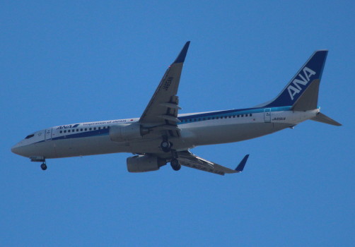 IMG_9820_1.JPG